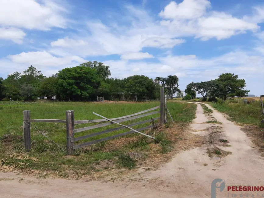 Foto 5 de Chácara com 2 quartos à venda, 60000m2 em Tapes - RS