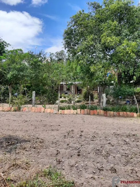 Foto 7 de Chácara com 2 quartos à venda, 60000m2 em Tapes - RS