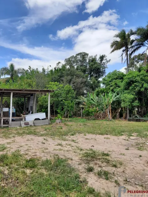 Foto 9 de Chácara com 2 quartos à venda, 60000m2 em Tapes - RS