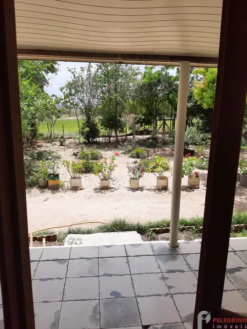 Foto 3 de Chácara com 2 quartos à venda, 60000m2 em Tapes - RS