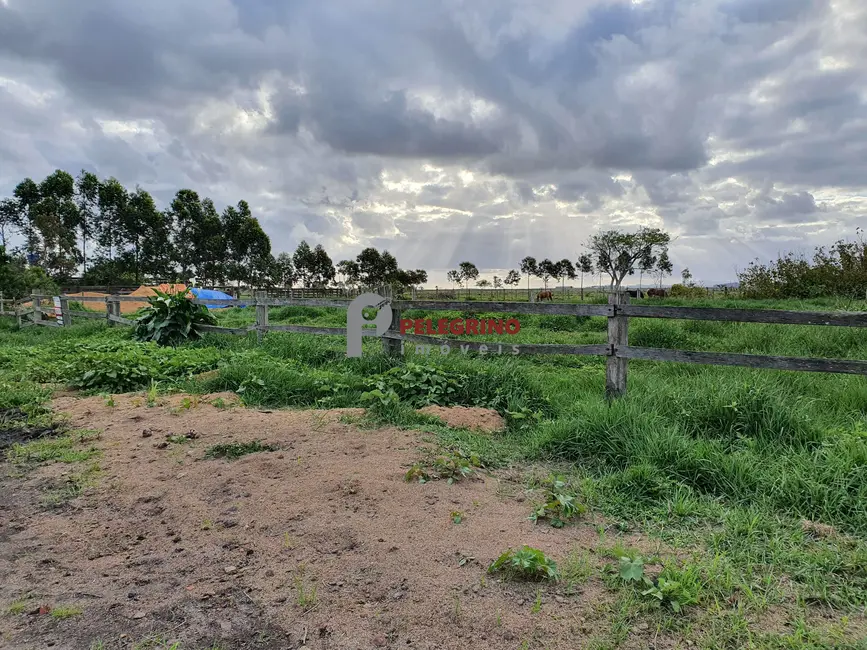 Foto 1 de Terreno / Lote à venda, 9766m2 em Centro, Tapes - RS