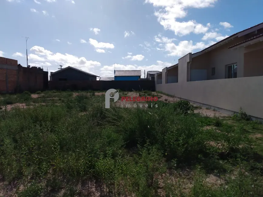 Foto 1 de Terreno / Lote à venda, 350m2 em Tapes - RS