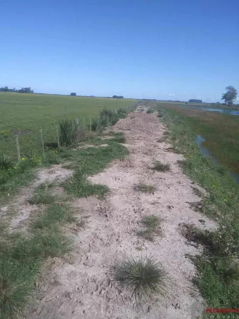 Foto 4 de Chácara com 2 quartos à venda, 250m2 em Tapes - RS