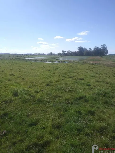 Foto 2 de Chácara com 2 quartos à venda, 250m2 em Tapes - RS