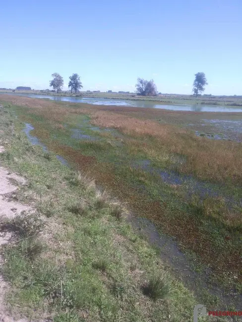 Foto 5 de Chácara com 2 quartos à venda, 250m2 em Tapes - RS