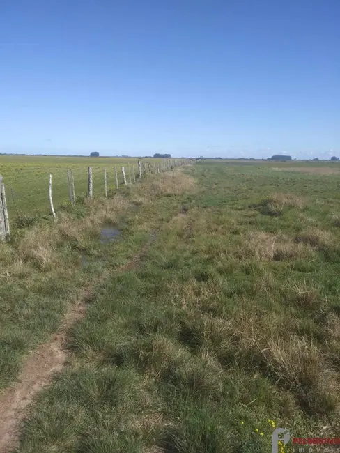 Foto 3 de Chácara com 2 quartos à venda, 250m2 em Tapes - RS