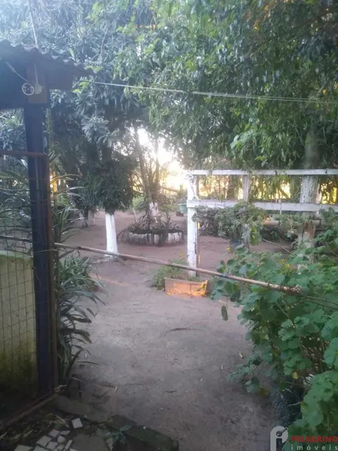 Foto 9 de Chácara com 2 quartos à venda, 250m2 em Tapes - RS