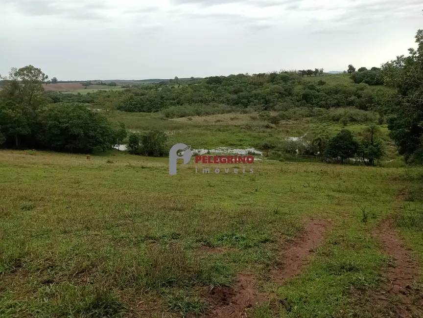 Foto 1 de Chácara com 4 quartos à venda, 30000m2 em Sentinela Do Sul - RS