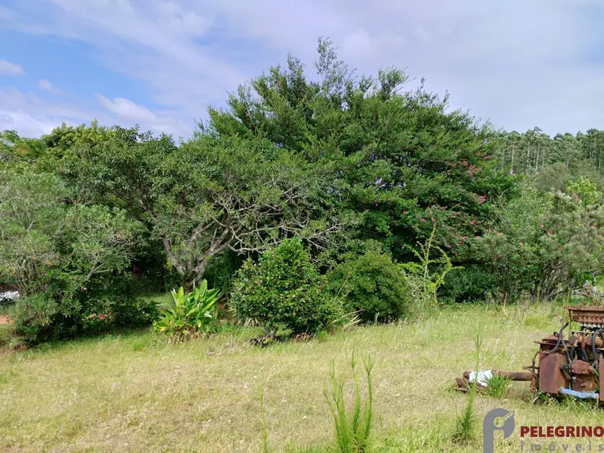 Foto 3 de Chácara com 3 quartos à venda, 80m2 em Tapes - RS