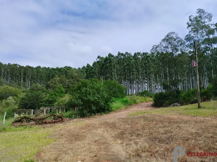 Foto 2 de Chácara com 3 quartos à venda, 80m2 em Tapes - RS