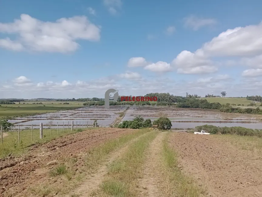 Foto 1 de Chácara à venda, 200m2 em Tapes - RS