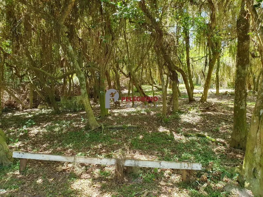 Foto 9 de Terreno / Lote à venda, 2551m2 em Tapes - RS