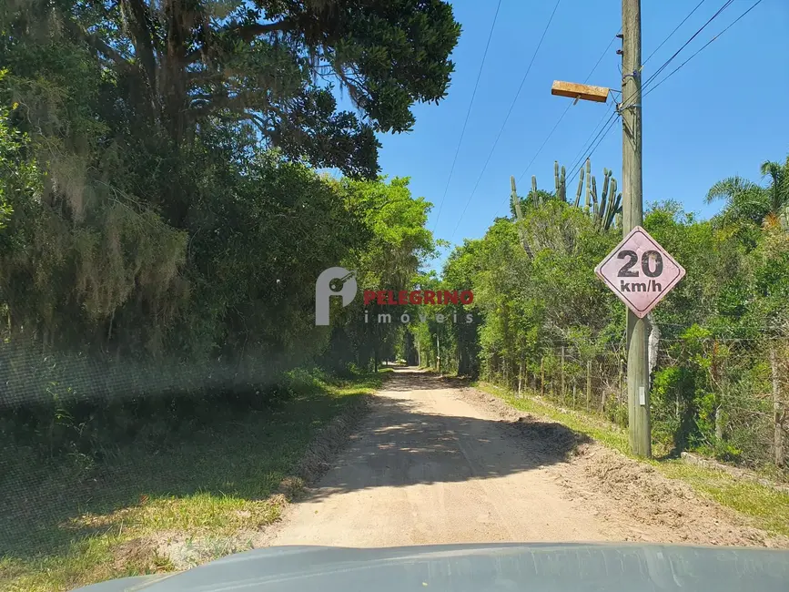 Foto 5 de Terreno / Lote à venda, 2551m2 em Tapes - RS