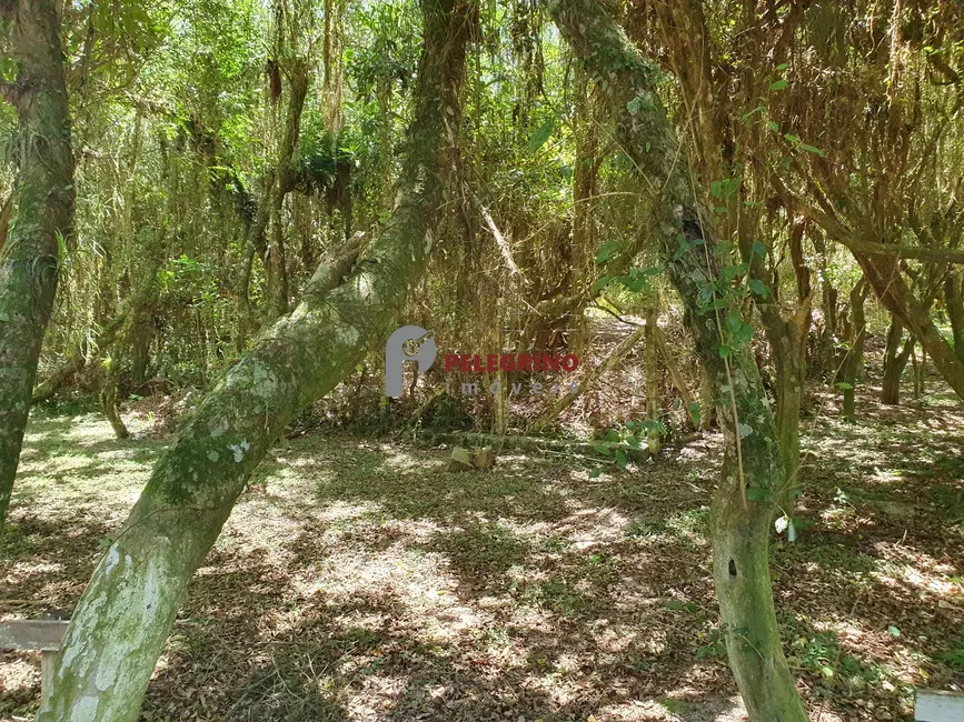 Foto 7 de Terreno / Lote à venda, 2551m2 em Tapes - RS