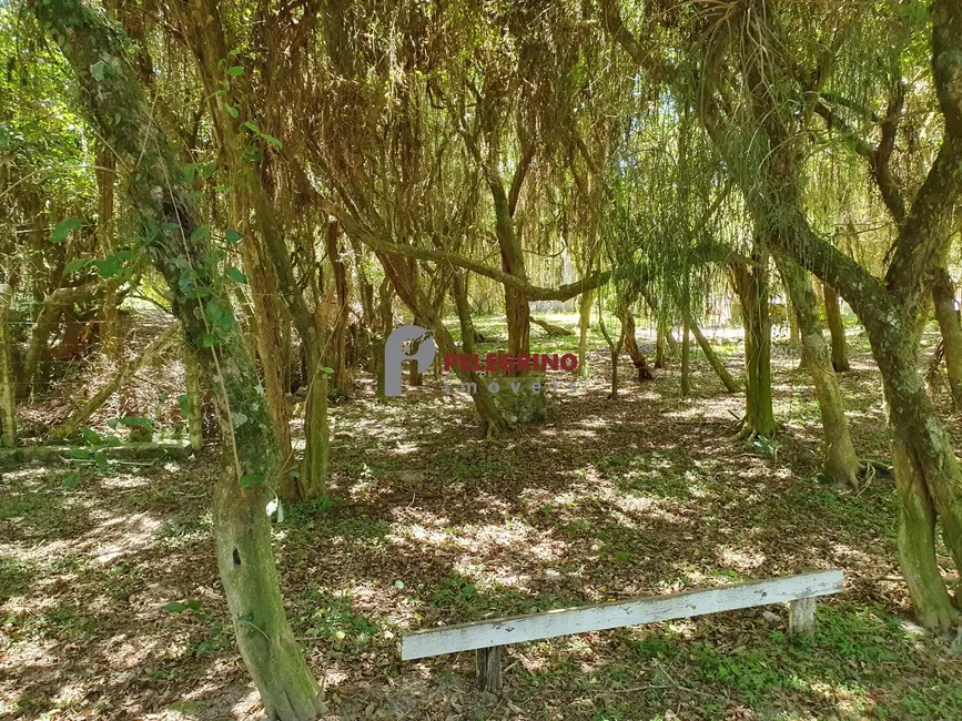 Foto 8 de Terreno / Lote à venda, 2551m2 em Tapes - RS