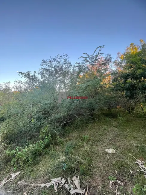 Foto 8 de Prédio Inteiro com 1 quarto à venda, 280m2 em Tapes - RS