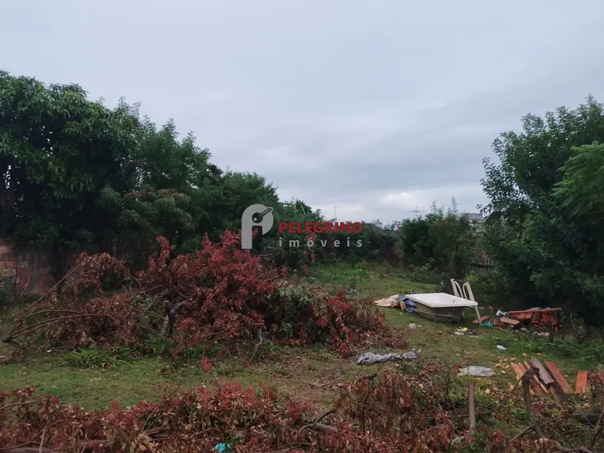 Foto 4 de Terreno / Lote à venda, 423m2 em Centro, Tapes - RS