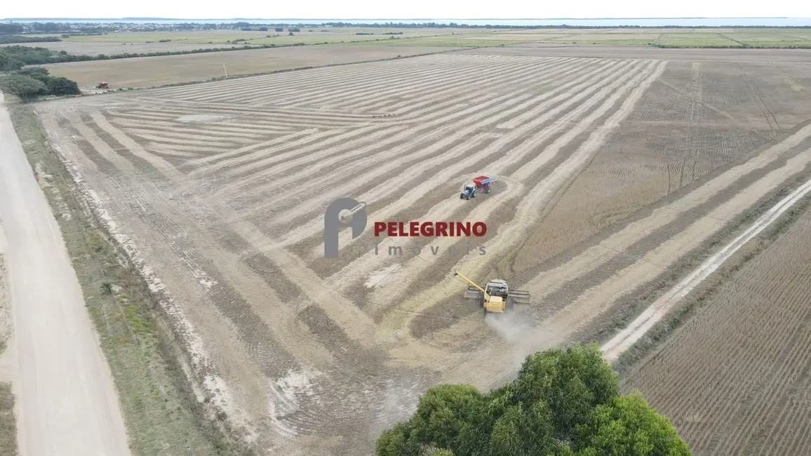 Foto 1 de Chácara com 2 quartos à venda, 764000m2 em Tapes - RS