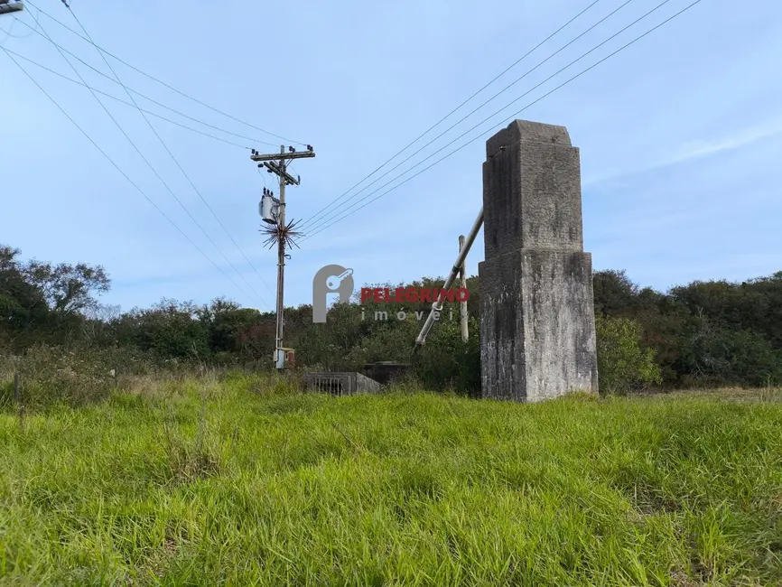 Foto 5 de Chácara com 2 quartos à venda, 764000m2 em Tapes - RS