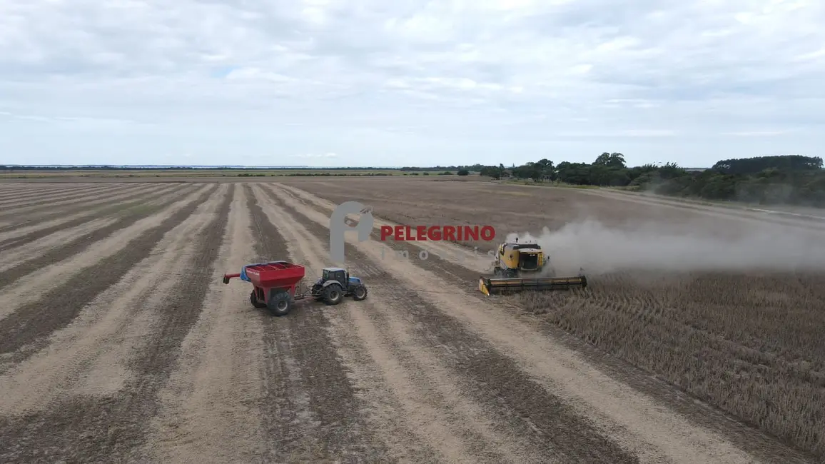 Foto 3 de Chácara com 2 quartos à venda, 764000m2 em Tapes - RS