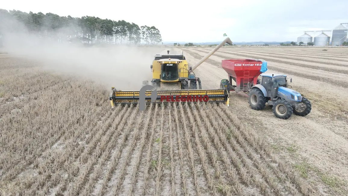 Foto 4 de Chácara com 2 quartos à venda, 764000m2 em Tapes - RS
