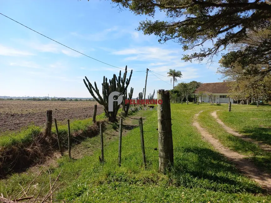 Foto 8 de Chácara com 2 quartos à venda, 764000m2 em Tapes - RS