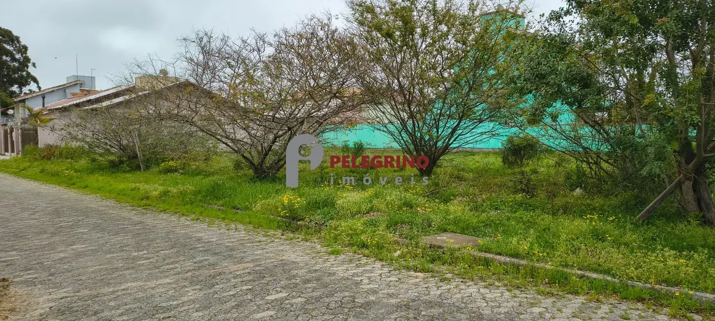 Foto 3 de Terreno / Lote à venda, 361m2 em Tapes - RS