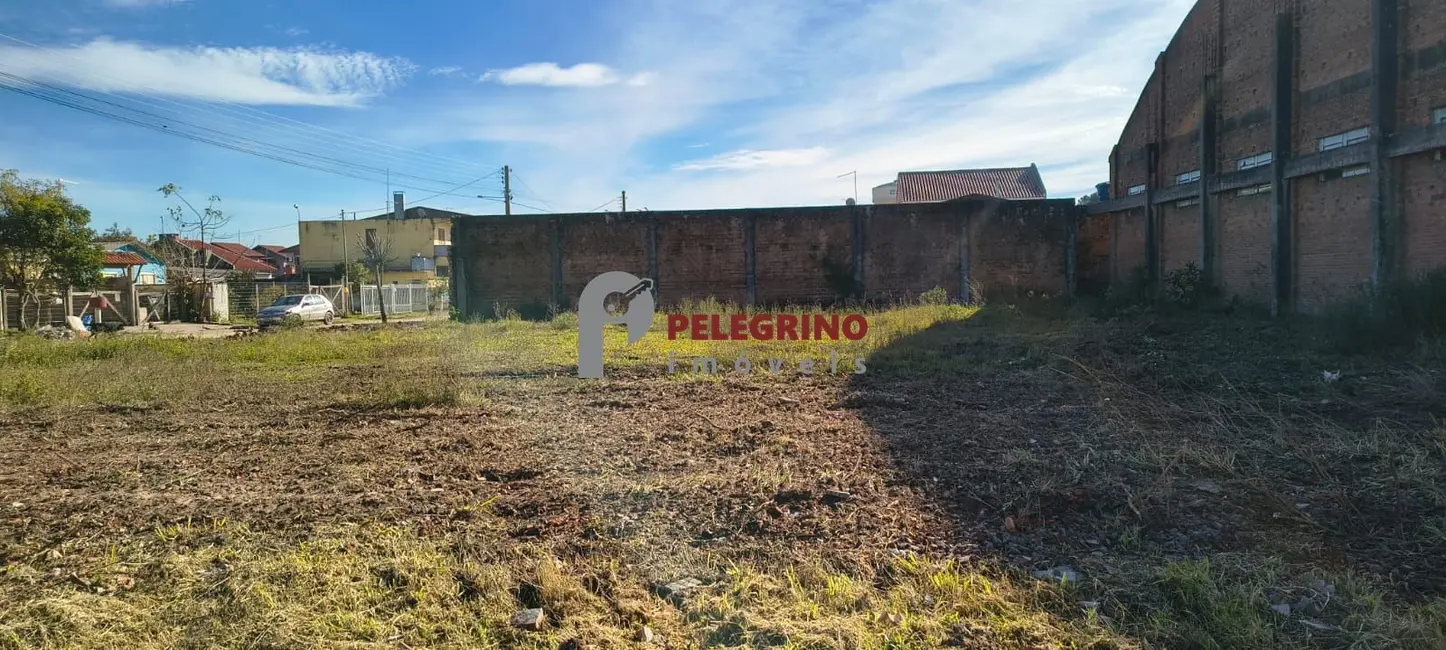 Foto 2 de Terreno / Lote à venda, 202m2 em Tapes - RS