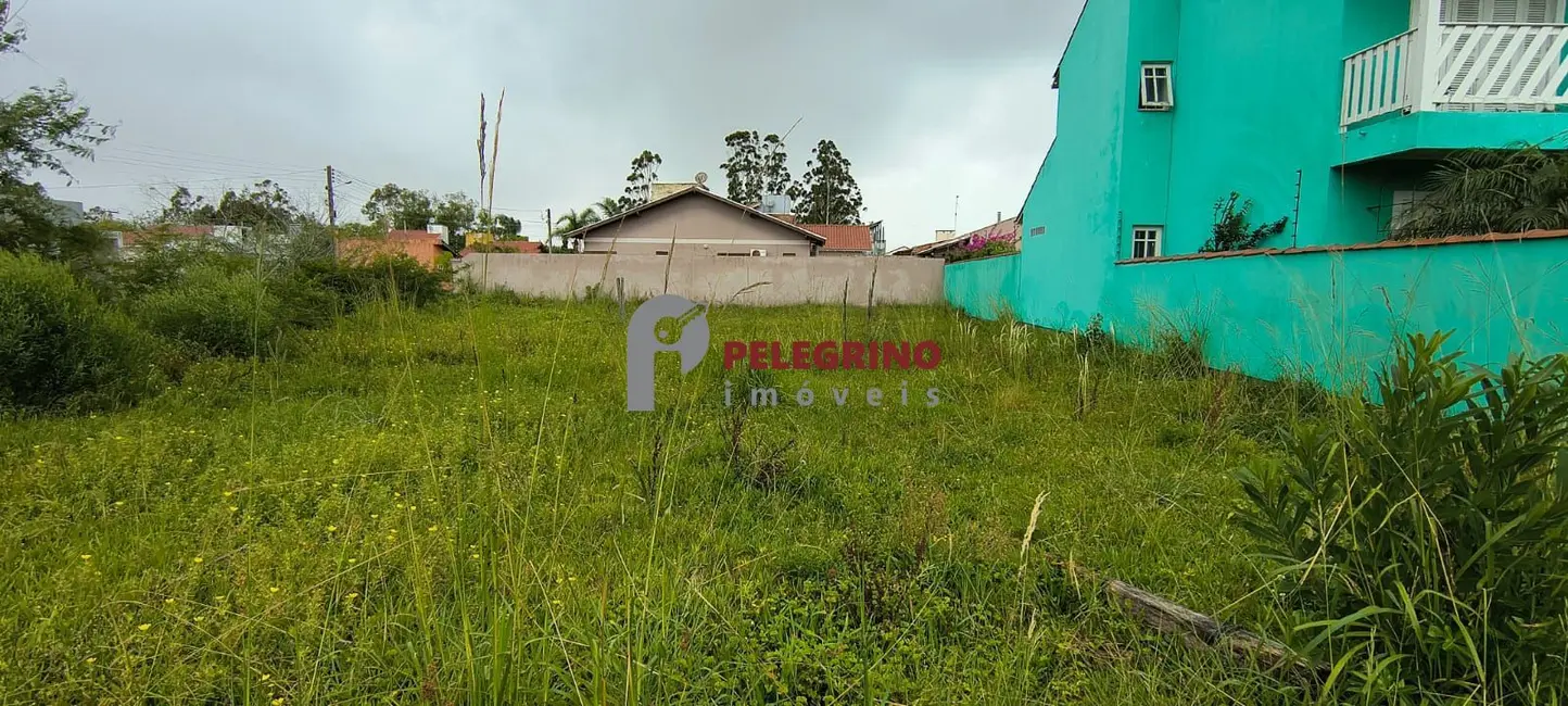 Foto 2 de Terreno / Lote à venda, 344m2 em Tapes - RS