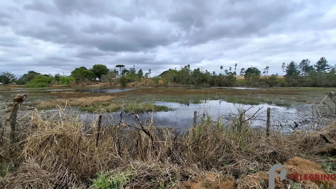 Foto 9 de Chácara com 2 quartos à venda, 100m2 em Tapes - RS
