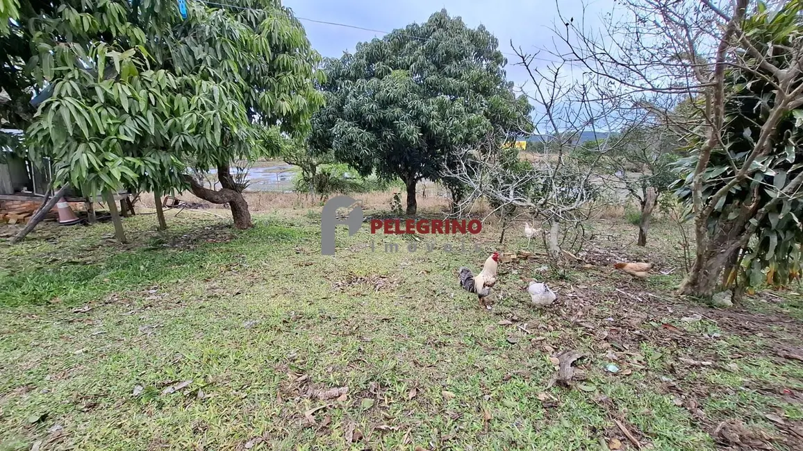 Foto 5 de Chácara com 2 quartos à venda, 100m2 em Tapes - RS