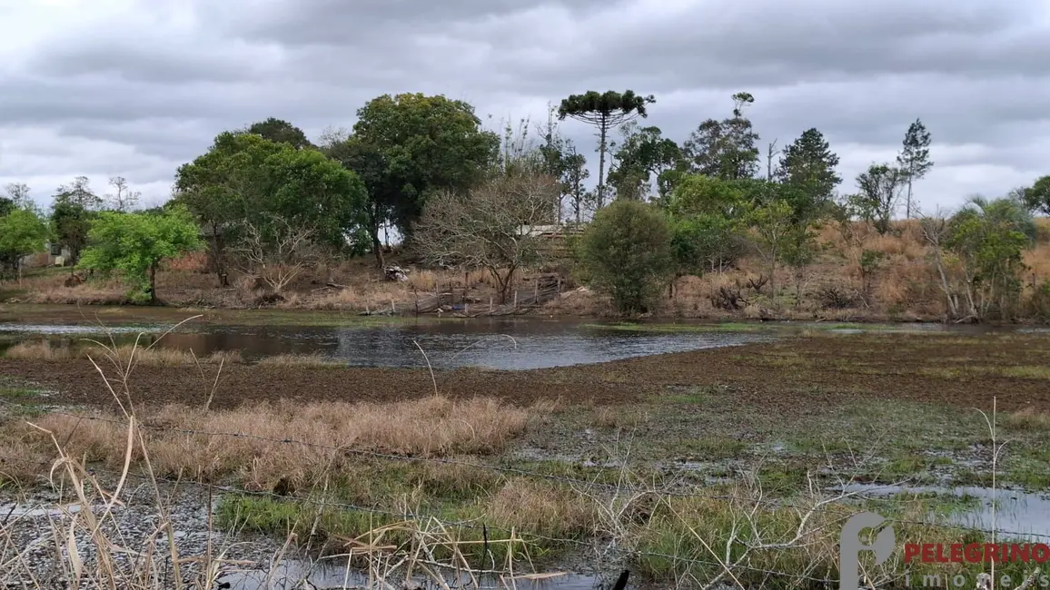 Foto 7 de Chácara com 2 quartos à venda, 100m2 em Tapes - RS