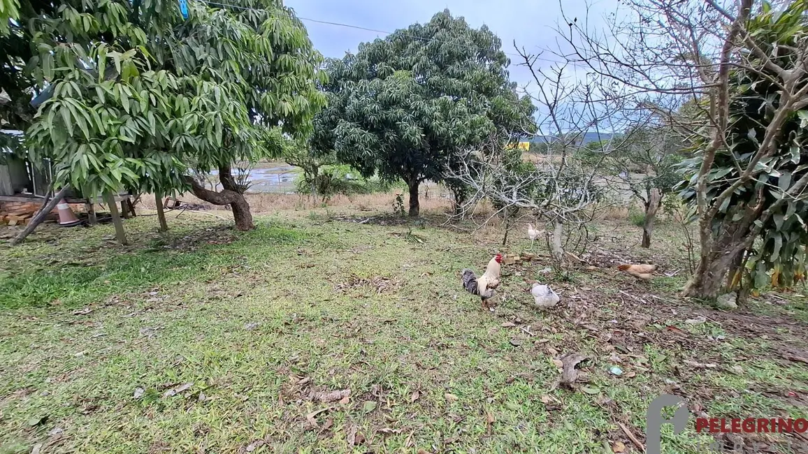 Foto 5 de Chácara com 2 quartos à venda, 100m2 em Tapes - RS