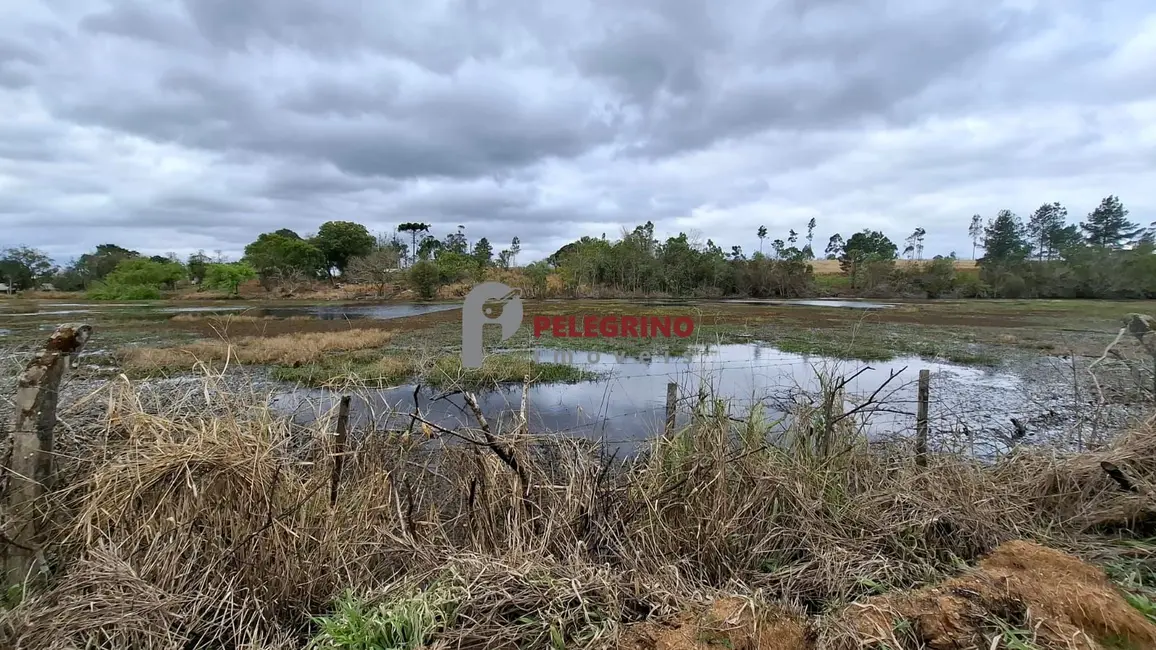 Foto 9 de Chácara com 2 quartos à venda, 100m2 em Tapes - RS