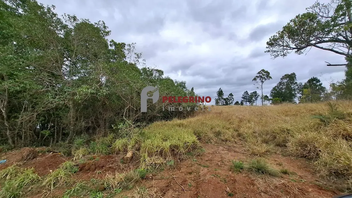Foto 4 de Chácara com 2 quartos à venda, 100m2 em Tapes - RS