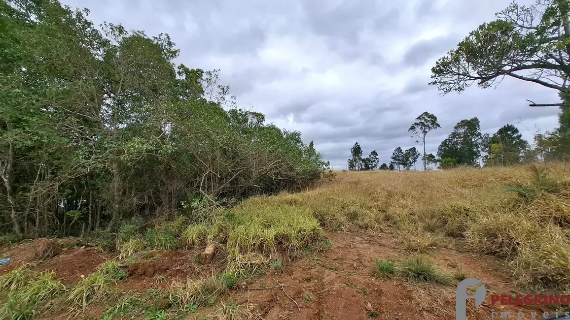 Foto 4 de Chácara com 2 quartos à venda, 100m2 em Tapes - RS