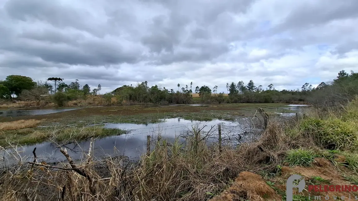 Foto 6 de Chácara com 2 quartos à venda, 100m2 em Tapes - RS