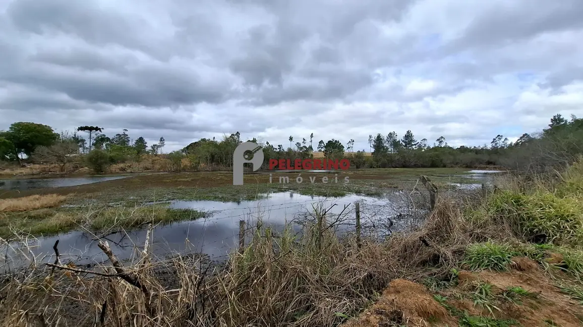 Foto 6 de Chácara com 2 quartos à venda, 100m2 em Tapes - RS