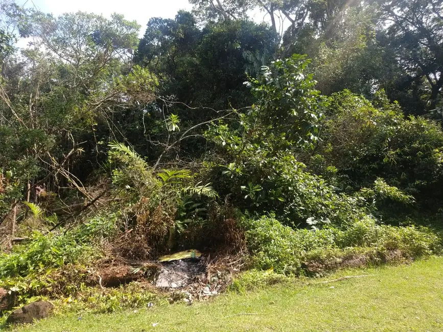 Chácara à venda, 1600m2 em Itanhaem - SP - imagem 4 Foto 4 de Chácara à venda, 1600m2 em Itanhaem - SP