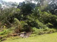 Imagem 4
