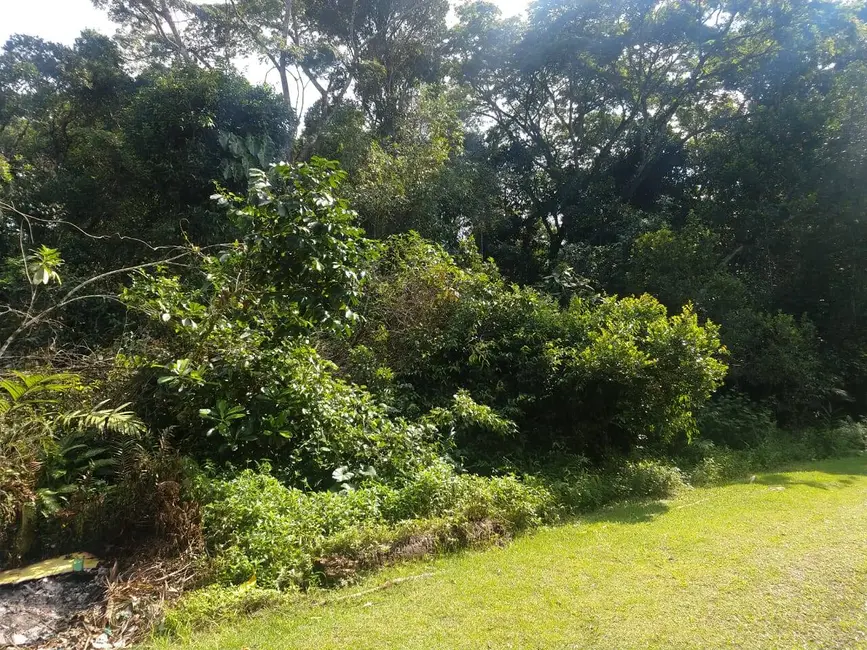 Chácara à venda, 1600m2 em Itanhaem - SP - imagem 3 Foto 3 de Chácara à venda, 1600m2 em Itanhaem - SP