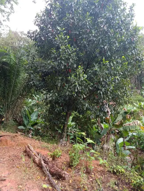 Foto 9 de Chácara com 2 quartos à venda, 80m2 em Itariri - SP