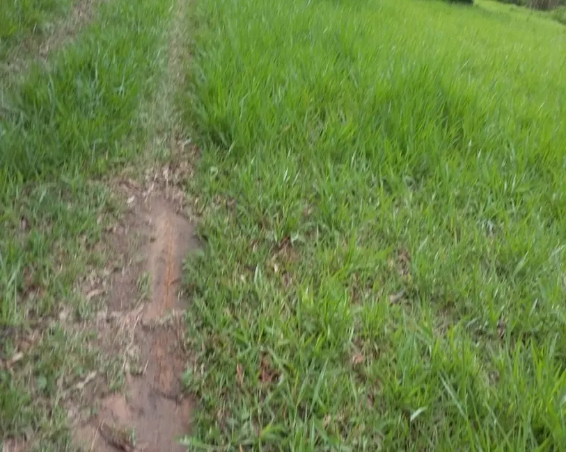 Foto 4 de Terreno / Lote à venda, 5300m2 em Pinheirinho, Itu - SP