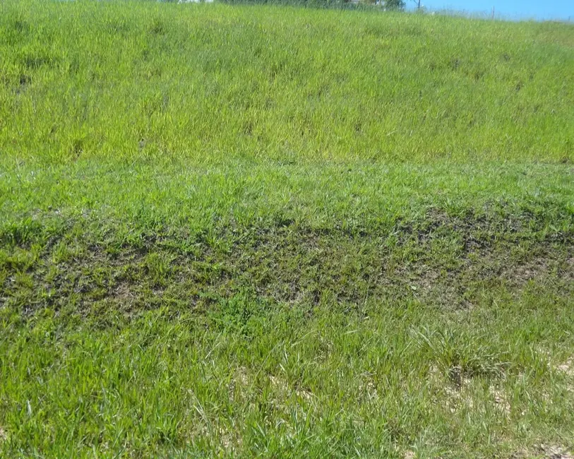 Foto 3 de Terreno / Lote à venda em Itu - SP