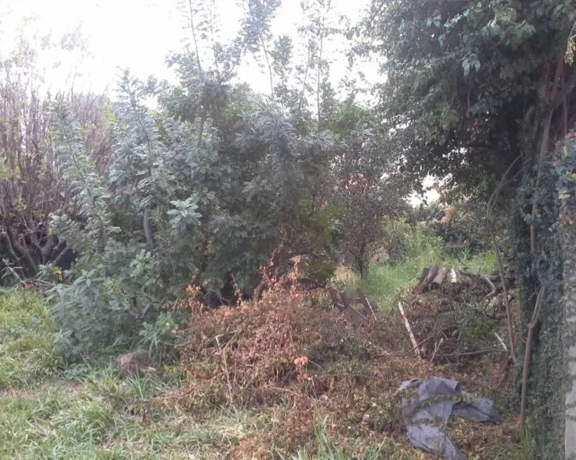 Foto 6 de Terreno / Lote à venda em Jardim Faculdade, Itu - SP