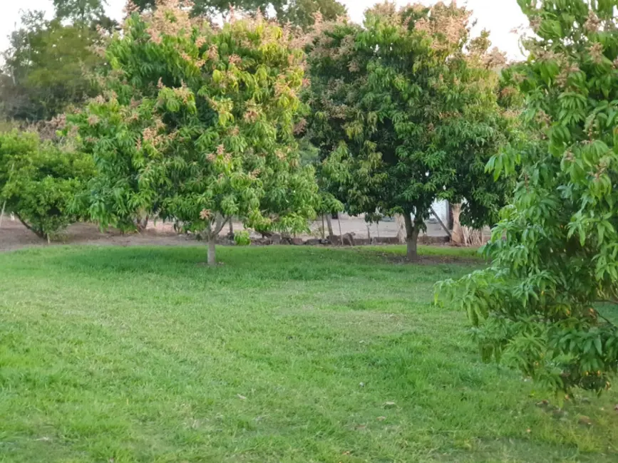 Foto 5 de Sítio / Rancho com 3 quartos à venda, 1500m2 em Porto Feliz - SP