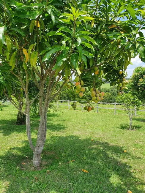 Foto 7 de Sítio / Rancho com 3 quartos à venda, 1500m2 em Porto Feliz - SP