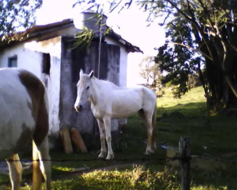 Foto 36 de Sítio / Rancho à venda em Itu - SP