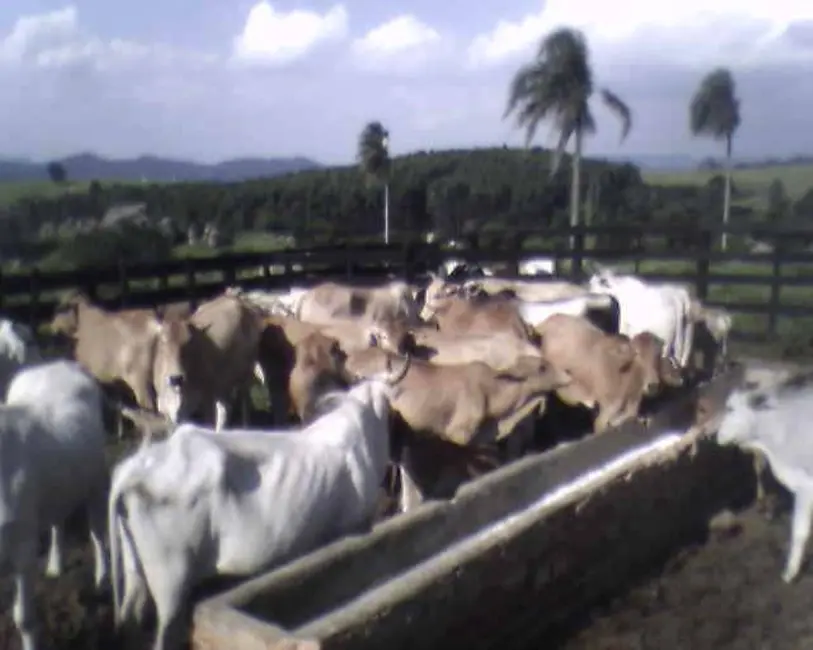 Foto 37 de Sítio / Rancho à venda em Itu - SP