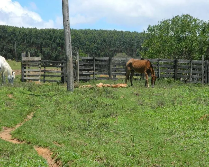 Foto 3 de Sítio / Rancho à venda em Itu - SP